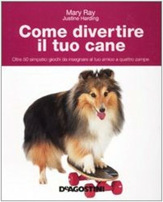 Come divertire il tuo cane