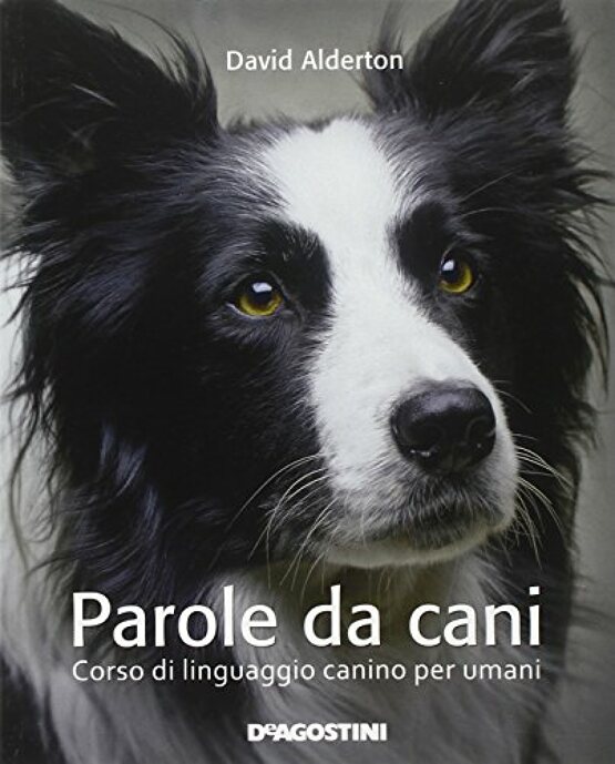 Parole da cani