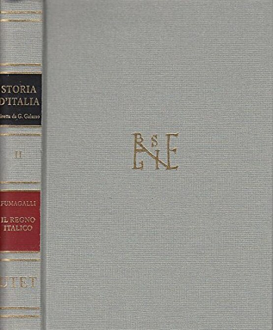 Il Regno italico