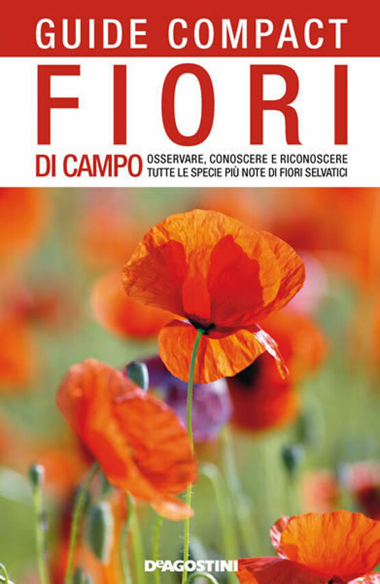 Fiori di campo