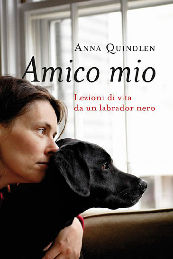 Amico mio (non disponibile) Libri De Agostini Libri