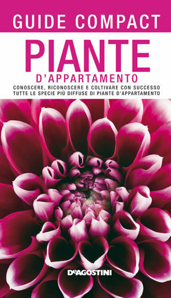 Piante d'appartamento