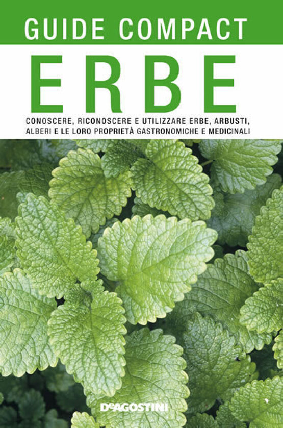 Erbe