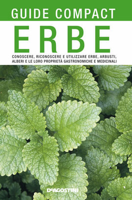 Erbe