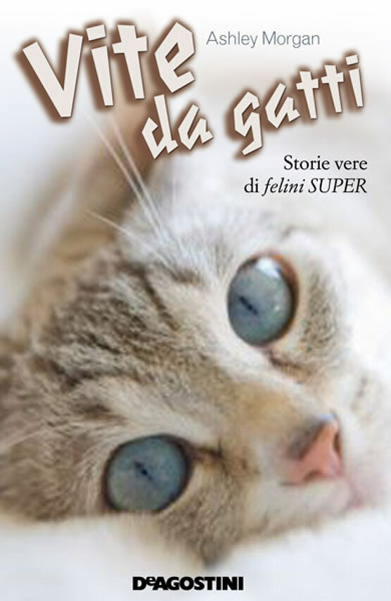 Vite da gatti