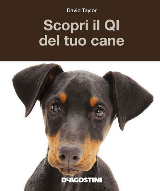 Scopri il QI del tuo cane