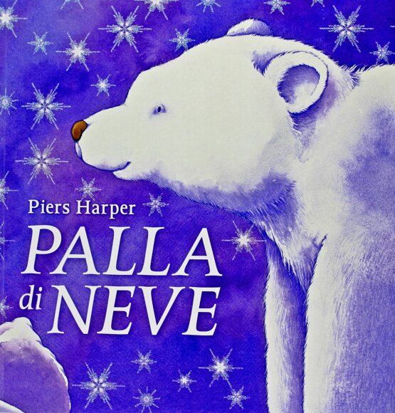 Palla di neve