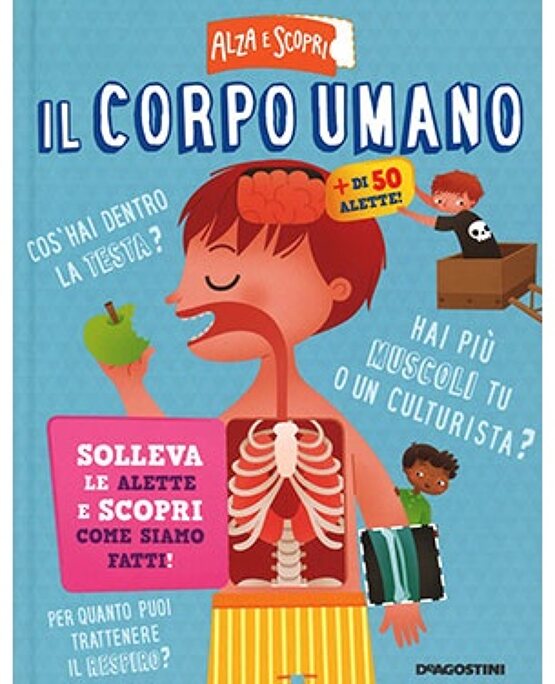 Il corpo umano