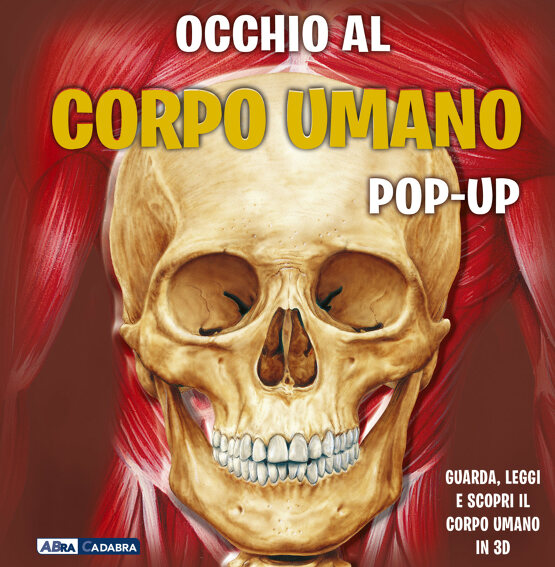 Occhio al corpo umano