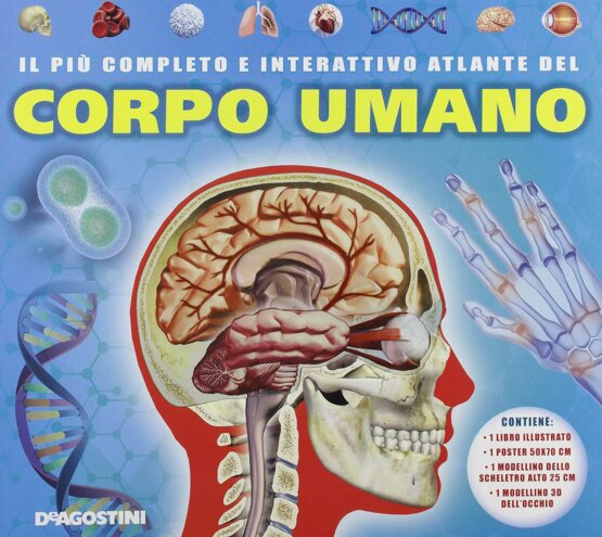 Il più completo e interattivo atlante del corpo umano