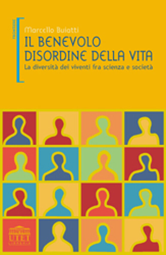 Il benevolo disordine della vita