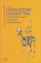 L'evoluzione costruttiva