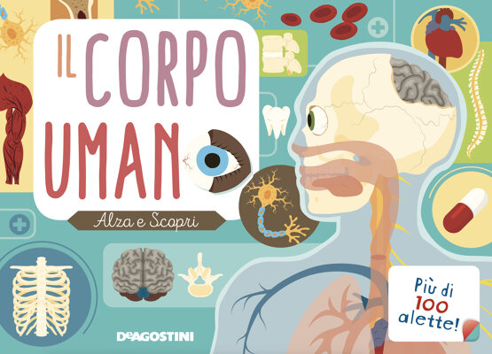 Il corpo umano. Alza e scopri