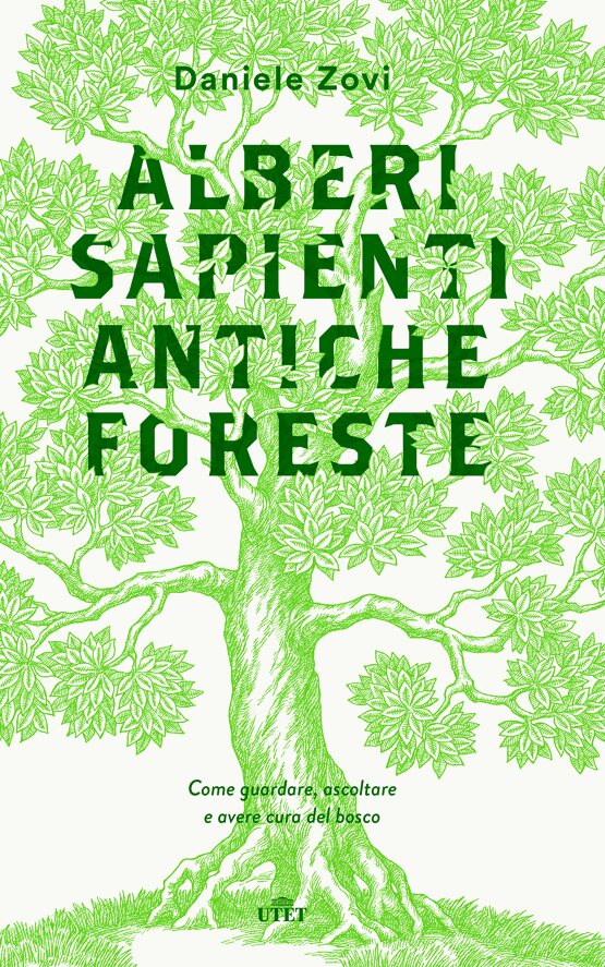 Alberi sapienti, antiche foreste