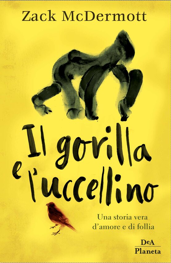 Il gorilla e l'uccellino