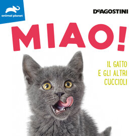 Miao!