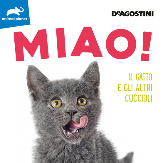 Miao!