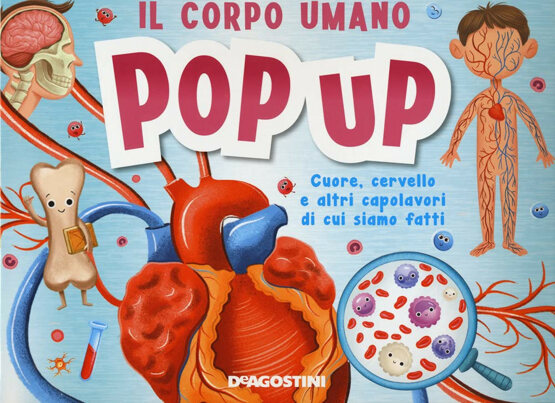 Il corpo umano pop up di Sophia Emelenko, Libri