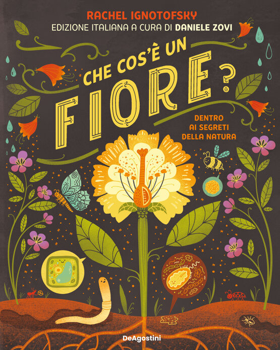 Che cos'è un fiore?