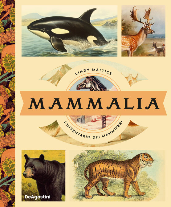 Mammalia