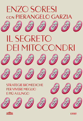 Il segreto dei mitocondri