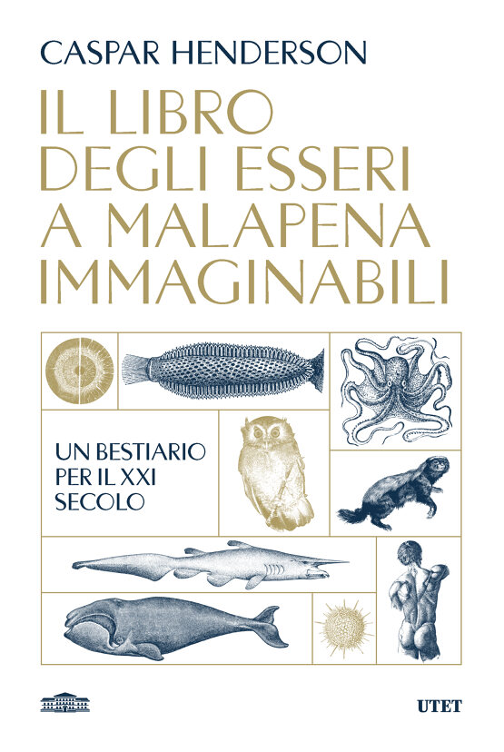 Il libro degli esseri a malapena immaginabili
