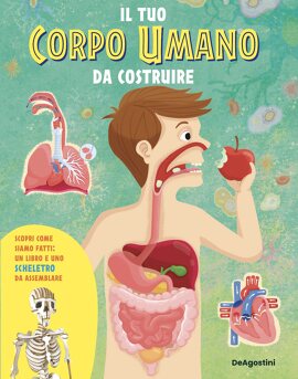 Il tuo corpo umano da costruire