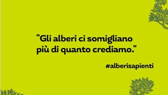 Fotografa i tuoi #alberisapienti